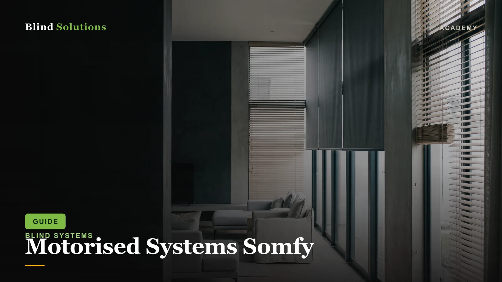 Motorised Systems Somfy