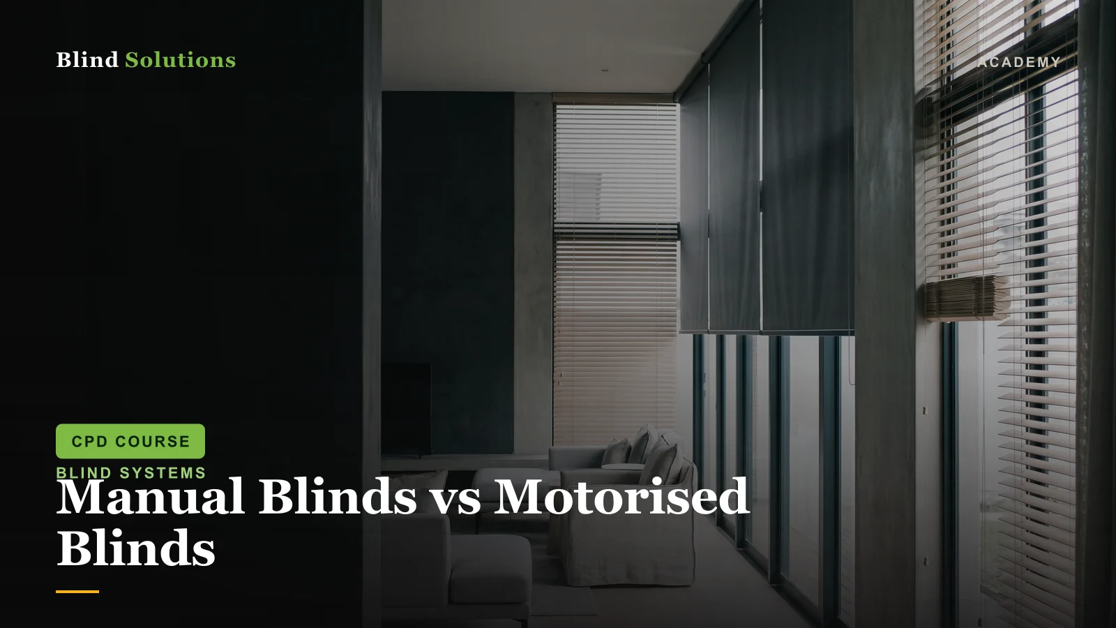 Manual Blinds vs Motorised Blinds